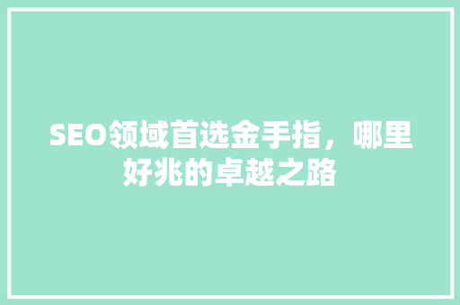 SEO领域首选金手指，哪里好兆的卓越之路