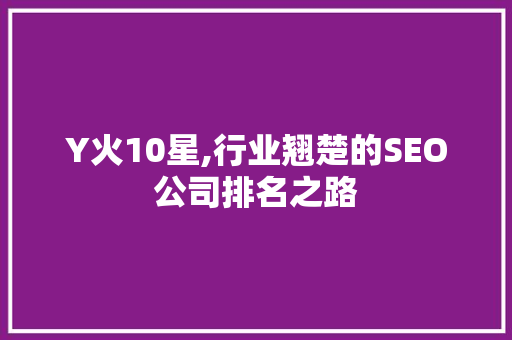 Y火10星,行业翘楚的SEO公司排名之路