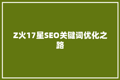 Z火17星SEO关键词优化之路