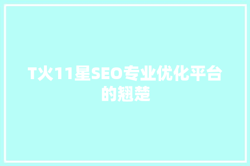 T火11星SEO专业优化平台的翘楚