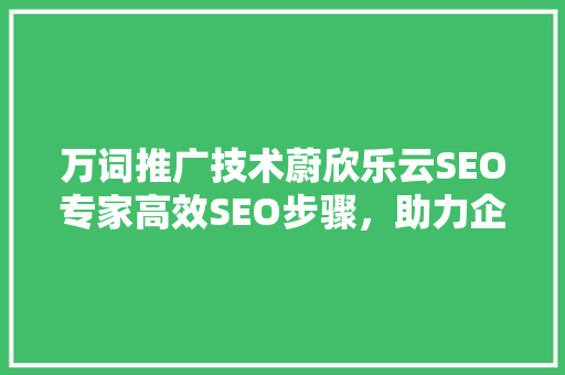 万词推广技术蔚欣乐云SEO专家高效SEO步骤，助力企业提升网络曝光度