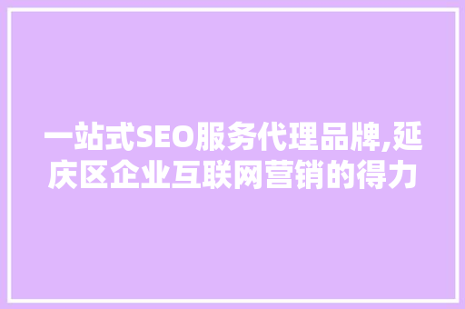 一站式SEO服务代理品牌,延庆区企业互联网营销的得力助手