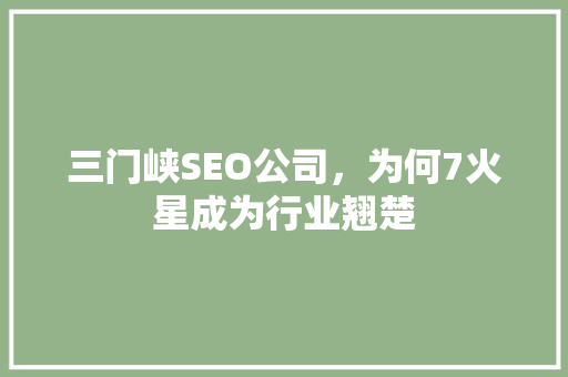 三门峡SEO公司，为何7火星成为行业翘楚