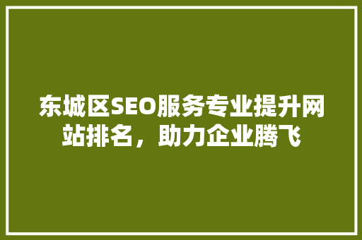 东城区SEO服务专业提升网站排名，助力企业腾飞