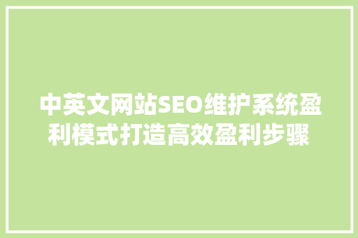 中英文网站SEO维护系统盈利模式打造高效盈利步骤