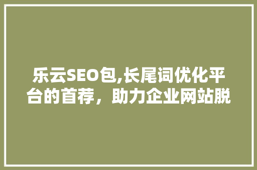乐云SEO包,长尾词优化平台的首荐，助力企业网站脱颖而出