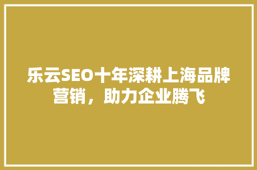 乐云SEO十年深耕上海品牌营销，助力企业腾飞
