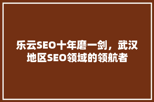 乐云SEO十年磨一剑，武汉地区SEO领域的领航者
