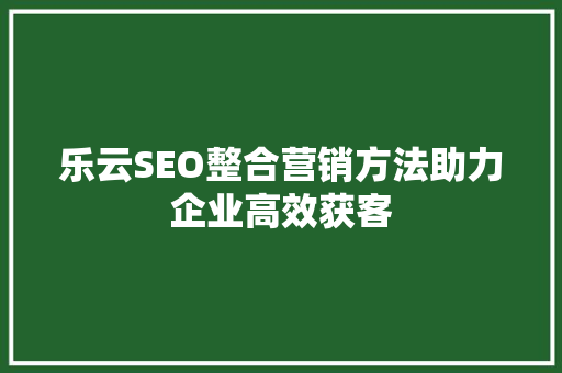乐云SEO整合营销方法助力企业高效获客
