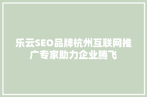 乐云SEO品牌杭州互联网推广专家助力企业腾飞