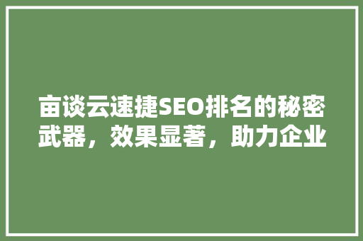 亩谈云速捷SEO排名的秘密武器，效果显著，助力企业快速崛起