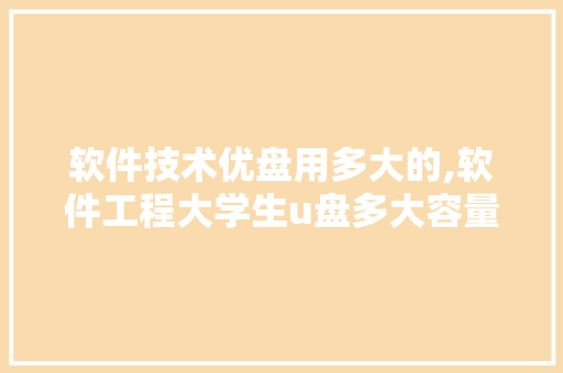 软件技术优盘用多大的,软件工程大学生u盘多大容量合适。 软件技术