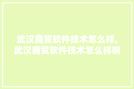 武汉商贸软件技术怎么样,武汉商贸软件技术怎么样啊。 软件技术