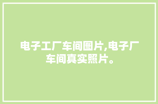电子工厂车间图片,电子厂车间真实照片。 智能科技