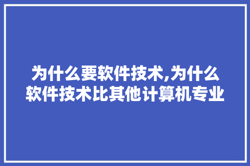为什么要软件技术,为什么软件技术比其他计算机专业好。 软件技术
