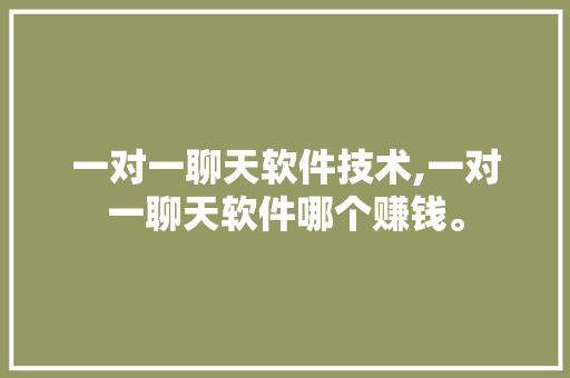 一对一聊天软件技术,一对一聊天软件哪个赚钱。 软件技术