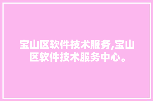 宝山区软件技术服务,宝山区软件技术服务中心。 软件技术