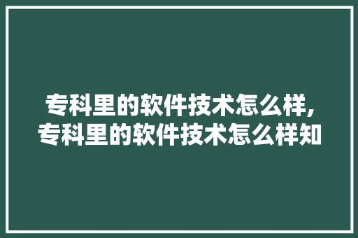 专科里的软件技术怎么样,专科里的软件技术怎么样知乎。 软件技术