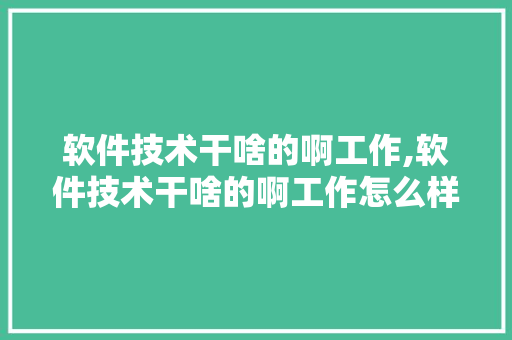 软件技术干啥的啊工作,软件技术干啥的啊工作怎么样。 软件技术