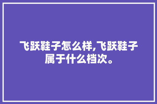 飞跃鞋子怎么样,飞跃鞋子属于什么档次。 智能科技