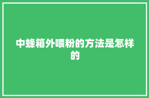 中蜂箱外喂粉的方法是怎样的 人工智能