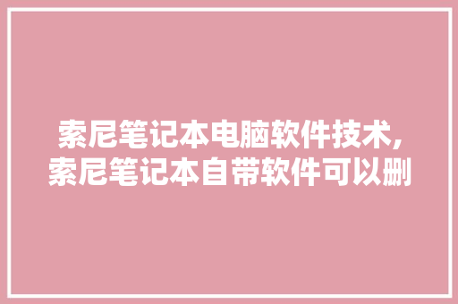 索尼笔记本电脑软件技术,索尼笔记本自带软件可以删除。 软件技术
