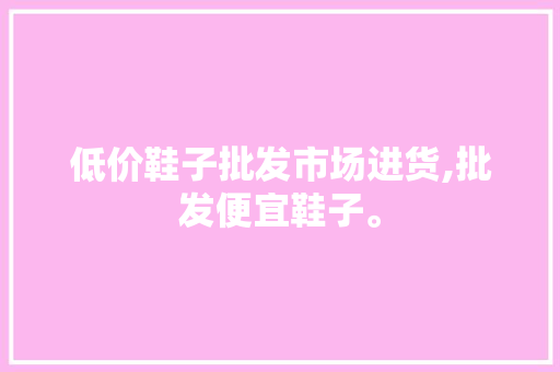 低价鞋子批发市场进货,批发便宜鞋子。 智能科技