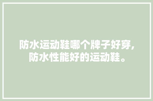 防水运动鞋哪个牌子好穿,防水性能好的运动鞋。 智能科技