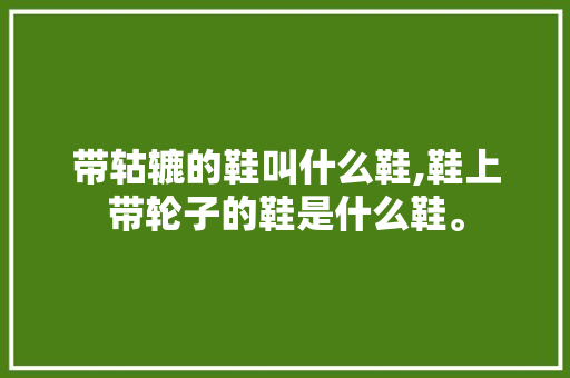 带轱辘的鞋叫什么鞋,鞋上带轮子的鞋是什么鞋。 智能科技