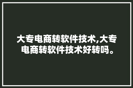 大专电商转软件技术,大专电商转软件技术好转吗。 软件技术