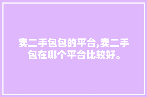 卖二手包包的平台,卖二手包在哪个平台比较好。 智能科技
