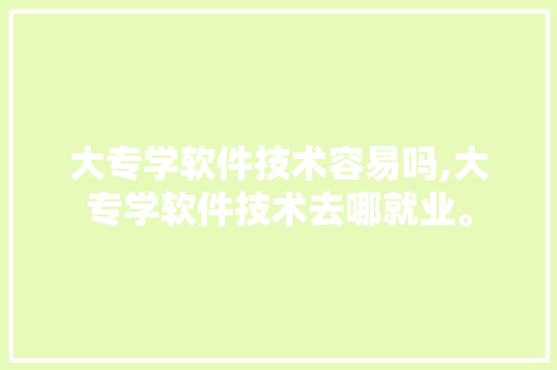 大专学软件技术容易吗,大专学软件技术去哪就业。 软件技术