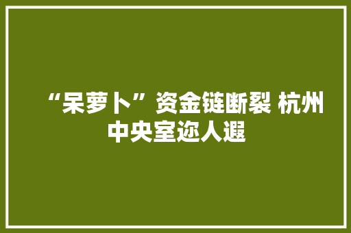 “呆萝卜”资金链断裂 杭州中央室迩人遐 软件技术