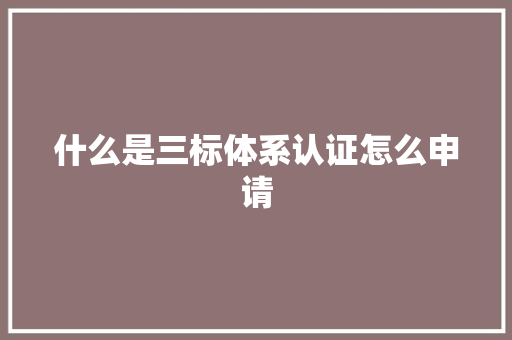 什么是三标体系认证怎么申请 AI场景