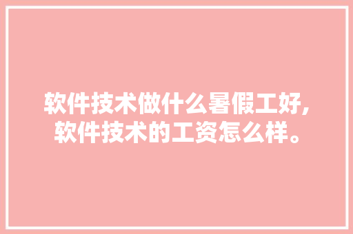 软件技术做什么暑假工好,软件技术的工资怎么样。 软件技术