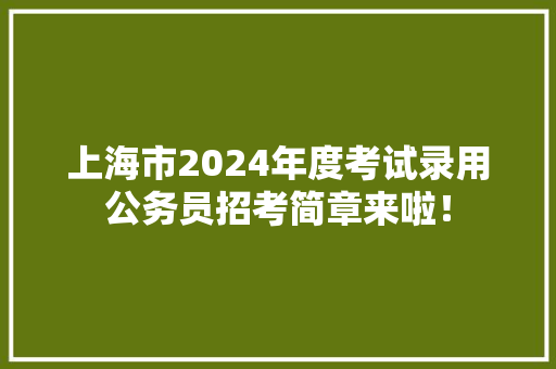 上海市2024年度考试录用公务员招考简章来啦！ AI场景