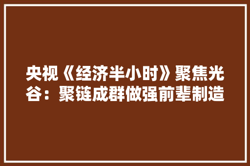 央视《经济半小时》聚焦光谷：聚链成群做强前辈制造“一束光”照亮“一座立异城” AI场景