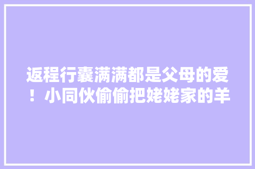 返程行囊满满都是父母的爱！小同伙偷偷把姥姥家的羊抱到车上…… 智能科技