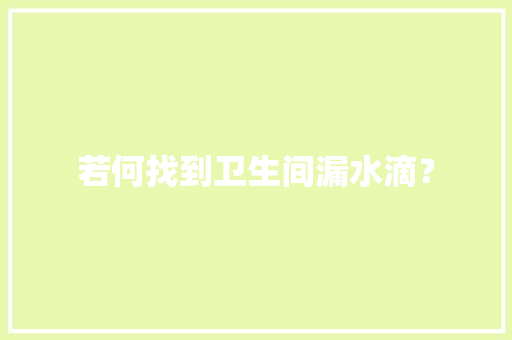 若何找到卫生间漏水滴？ AI场景