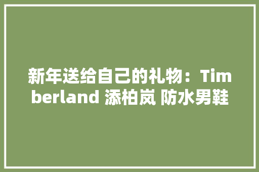 新年送给自己的礼物：Timberland 添柏岚 防水男鞋 23061 智能科技