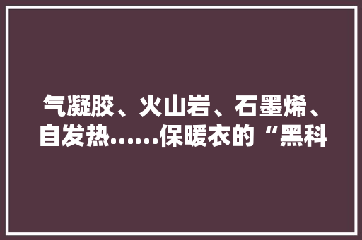 气凝胶、火山岩、石墨烯、自发热……保暖衣的“黑科技”你看懵了吗 智能科技