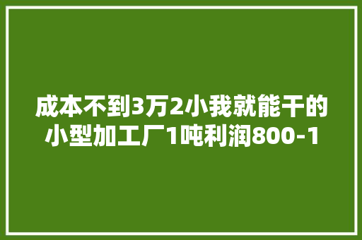 成本不到3万2小我就能干的小型加工厂1吨利润800-1000元 人工智能