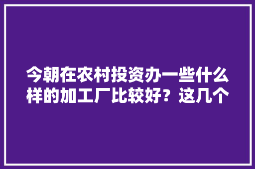 今朝在农村投资办一些什么样的加工厂比较好？这几个都可以 软件技术