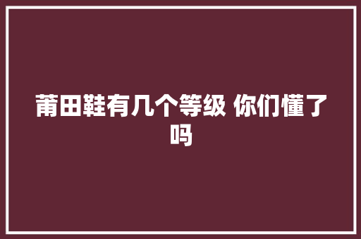 莆田鞋有几个等级 你们懂了吗 AI场景