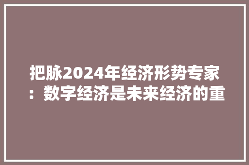 把脉2024年经济形势专家：数字经济是未来经济的重要增长点 智能科技