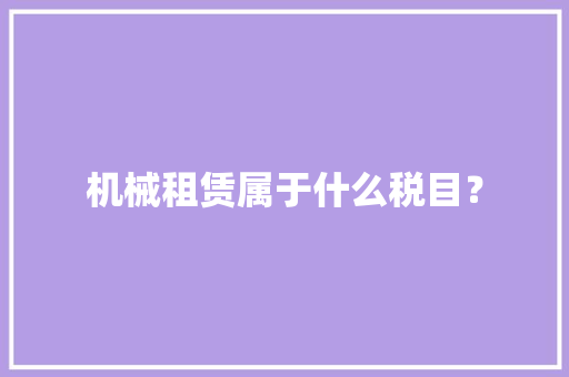 机械租赁属于什么税目？ 软件技术