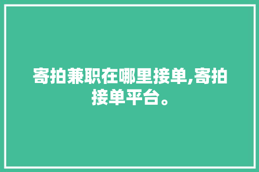 寄拍兼职在哪里接单,寄拍接单平台。 智能科技