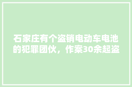 石家庄有个盗销电动车电池的犯罪团伙，作案30余起盗得电池70余组被抓，你怎么看 人工智能