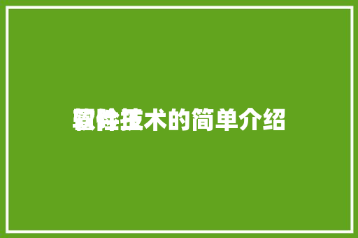 冒险王
软件技术的简单介绍 软件技术