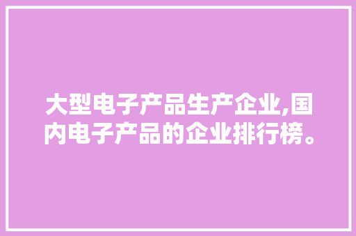 大型电子产品生产企业,国内电子产品的企业排行榜。 智能科技